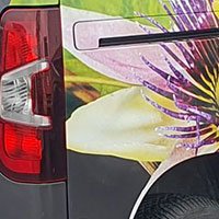 Covering partiel - Le Passiflora