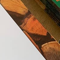 Charte graphique - Agri Bois Services