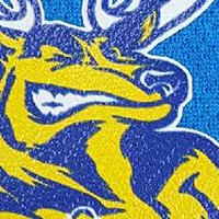 Personnalisation de vêtements - Sapeurs-pompiers de Bons-En-Chablais