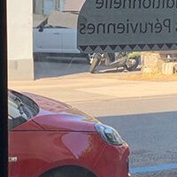 Décoration - Le Green café