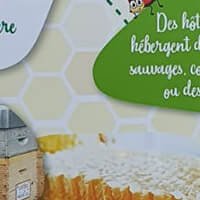 Panneaux d'information - Cap Bernard