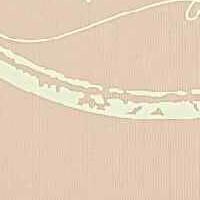 Marquage de vêtements - Les photos de maman