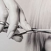 Panneaux décoratifs - Salon Cocoon