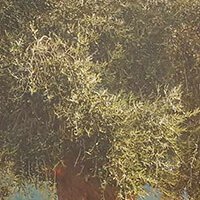 Cadre en toile tendue sur châssis - Oliva Cantina Litasco