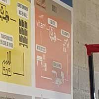 Panneaux d'affichage avec décors adhésifs - Migros